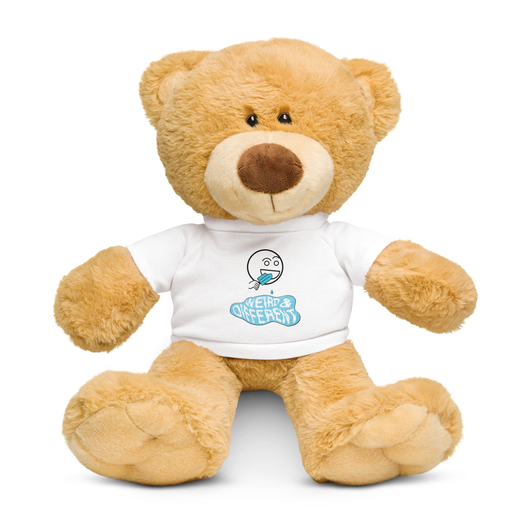 Teddy bear with a t-shirt – Weird & Different